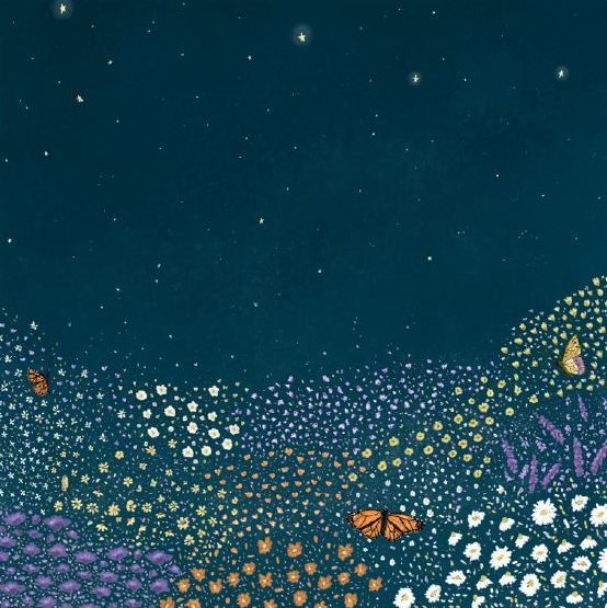 Campo de flores de noche