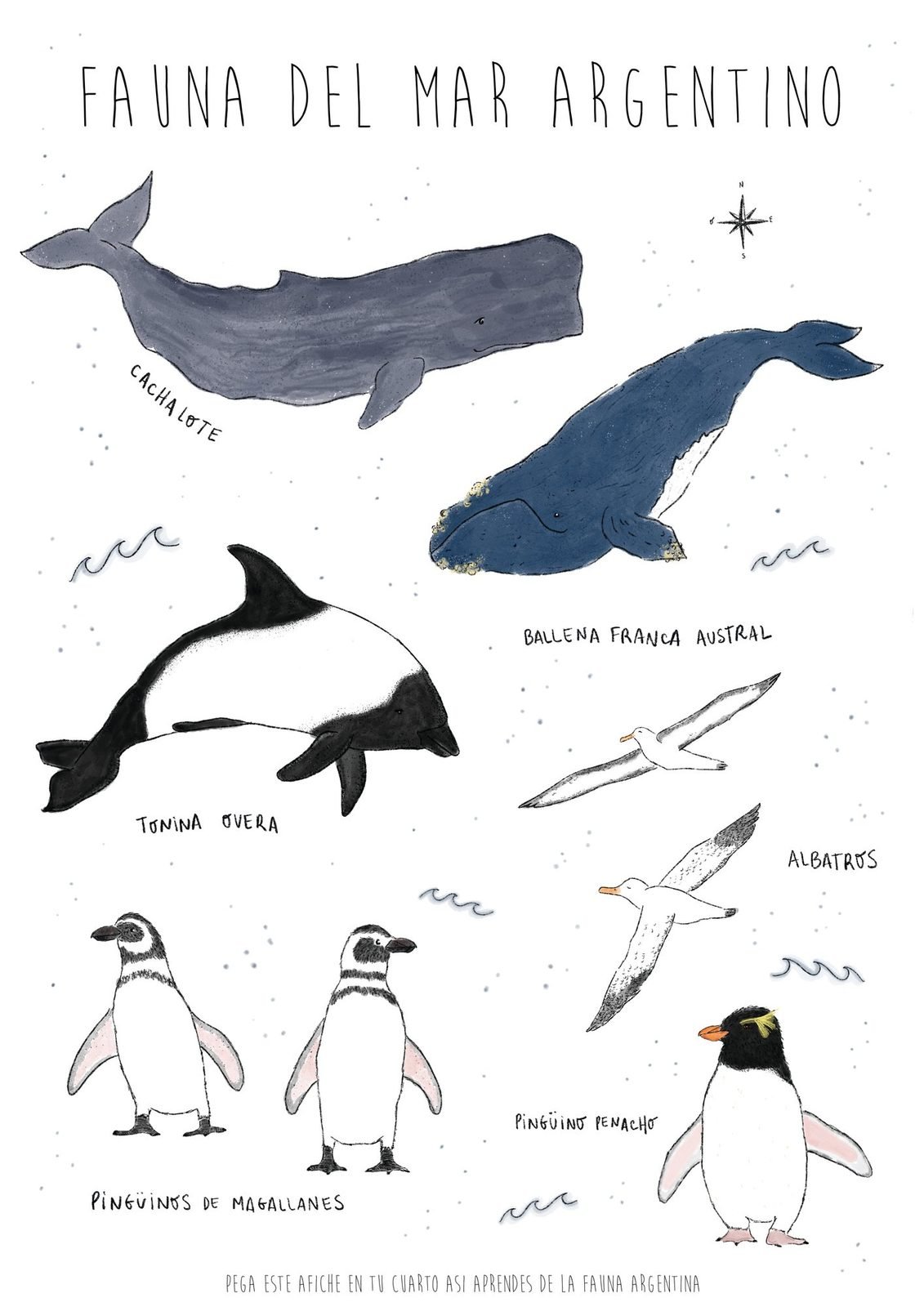 Prints